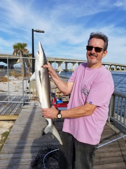 Spinner shark caught and released at Perdido Pass, Oct. 2021