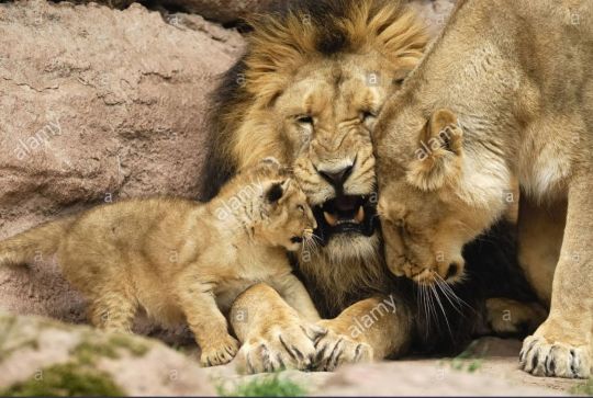 No Caption needed.....only, nothing more beautiful.