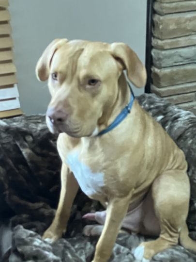 look at good friend if U think he looks good just ask and U can see ME