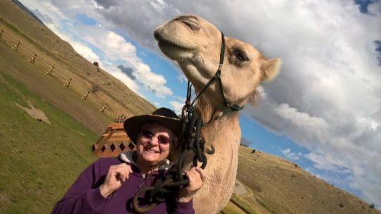 went on a camel ride