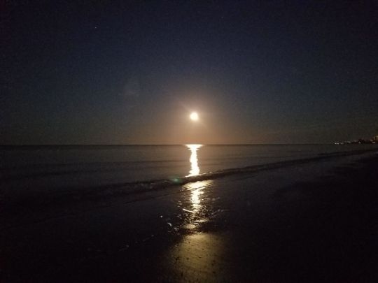 My sweet Madeira B (MOONSET)