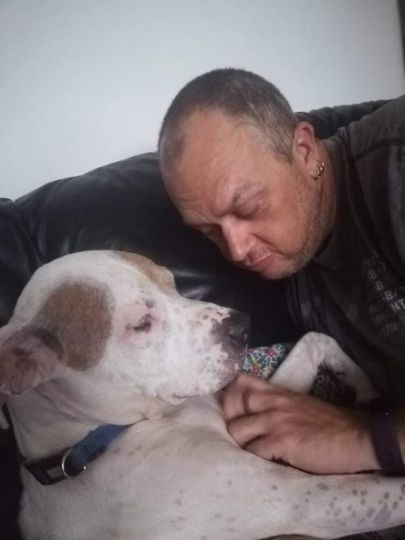 I miss my Melo Pooch R.I.P. my beautiful furry buddy x