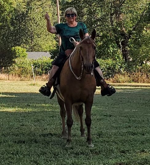 Riding Goldie