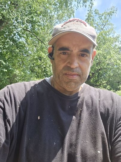 A Day of cutting trees.