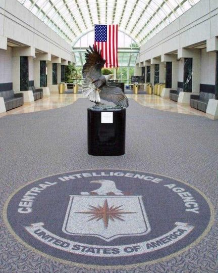 CIA hopeful!