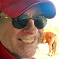 I love the wild horses of Carova Beach
