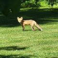 JackLeb Dating Profile