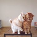 Walter88 Dating Profile
