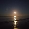 My sweet Madeira B (MOONSET)