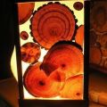 a lamp I made