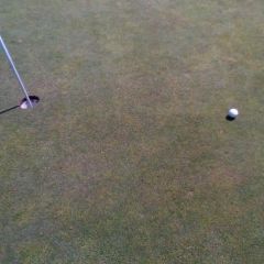 I did say golf right? What an approach shot.
And yes I mad the Birdie put.