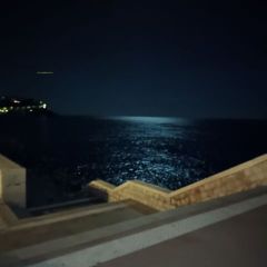 Catulus Dating Profile