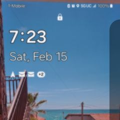 Peterrabbitt Dating Profile