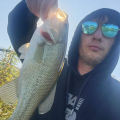 Iowashocker Dating Profile