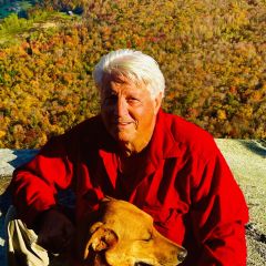 Droid Dating Profile