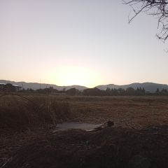 SexySexGod707 Dating Profile