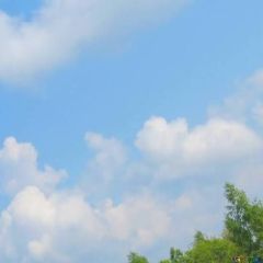 cloudysucker Dating Profile