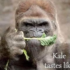 OniPC74 Dating Profile