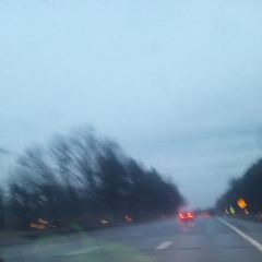 Frank747 Dating Profile