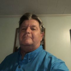 Kingbird Dating Profile