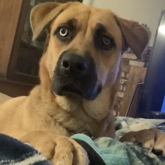 Oldpeters Dating Profile