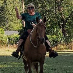 Riding Goldie