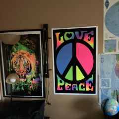 BLACK LIGHT POSTER ROOM AND HAM RADIO SHACK