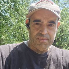 A Day of cutting trees.