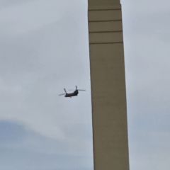 Air show 2026