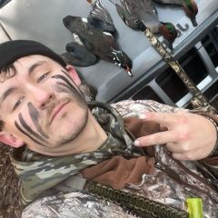 Chandler151rum Dating Profile