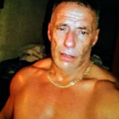 Stay in shape
